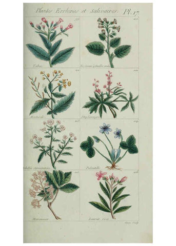 Reproducción/Reproduction 6103990840: Plantes usuelles, indigènes et exotiques Paris :Duprat-Duverger,1809
