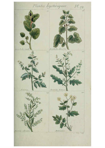 Reproducción/Reproduction 6103991442: Plantes usuelles, indigènes et exotiques Paris :Duprat-Duverger,1809