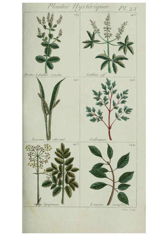 Reproducción/Reproduction 6103444959: Plantes usuelles, indigènes et exotiques Paris :Duprat-Duverger,1809