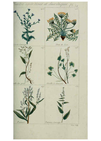 Reproducción/Reproduction 6103992940: Plantes usuelles, indigènes et exotiques Paris :Duprat-Duverger,1809