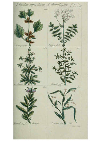 Reproducción/Reproduction 6103448263: Plantes usuelles, indigènes et exotiques Paris :Duprat-Duverger,1809