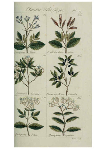 Reproducción/Reproduction 6103454811: Plantes usuelles, indigènes et exotiques Paris :Duprat-Duverger,1809