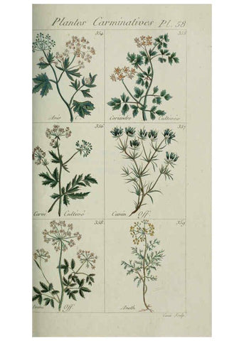 Reproducción/Reproduction 6104003128: Plantes usuelles, indigènes et exotiques Paris :Duprat-Duverger,1809