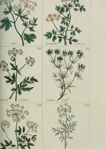 Reproducción/Reproduction 6104003128: Plantes usuelles, indigènes et exotiques Paris :Duprat-Duverger,1809