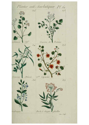 Reproducción/Reproduction 6104004008: Plantes usuelles, indigènes et exotiques Paris :Duprat-Duverger,1809