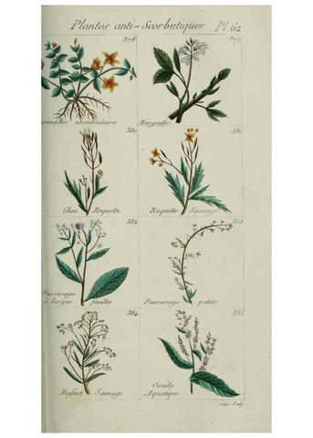 Reproducción/Reproduction 6103457119: Plantes usuelles, indigènes et exotiques Paris :Duprat-Duverger,1809