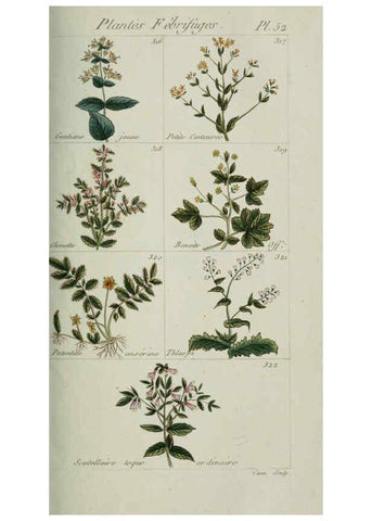 Reproducción/Reproduction 6103454265: Plantes usuelles, indigènes et exotiques Paris :Duprat-Duverger,1809