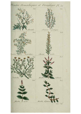 Reproducción/Reproduction 6103453729: Plantes usuelles, indigènes et exotiques Paris :Duprat-Duverger,1809