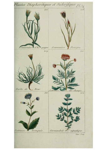 Reproducción/Reproduction 6103449491: Plantes usuelles, indigènes et exotiques Paris :Duprat-Duverger,1809