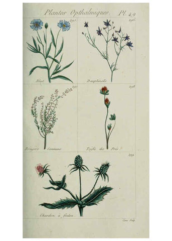 Reproducción/Reproduction 6103453505: Plantes usuelles, indigènes et exotiques Paris :Duprat-Duverger,1809