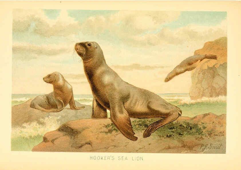 Reproducción/Reproduction 6103906808: The royal natural history. v2. sect.3 London,F. Warne,1893-1896