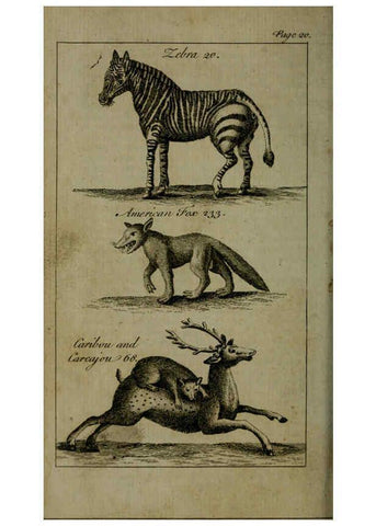 Reproducción/Reproduction 6243879296: A new and accurate system of natural history ... v.1 London,Printed for J. Newbery,1763