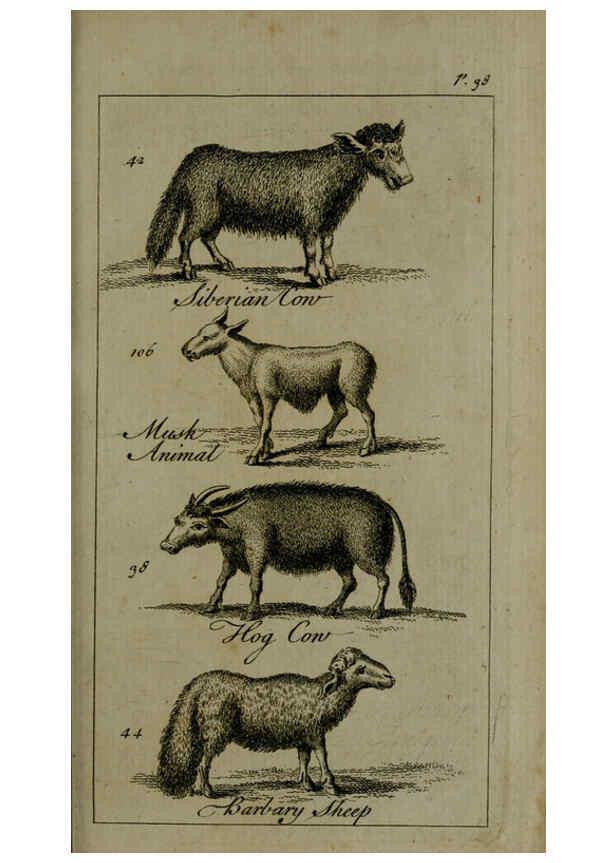Reproducción/Reproduction 6243361889: A new and accurate system of natural history ... v.1 London,Printed for J. Newbery,1763