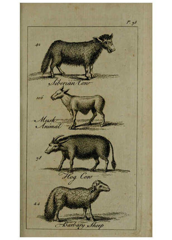 Reproducción/Reproduction 6243361889: A new and accurate system of natural history ... v.1 London,Printed for J. Newbery,1763