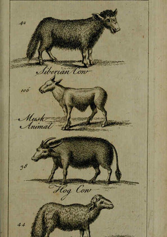 Reproducción/Reproduction 6243361889: A new and accurate system of natural history ... v.1 London,Printed for J. Newbery,1763