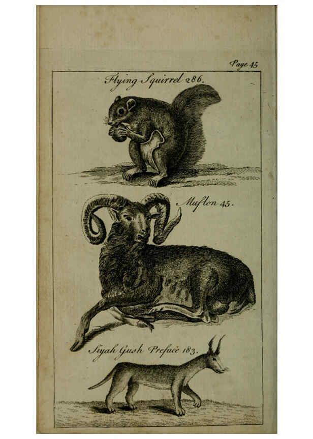 Reproducción/Reproduction 6243362103: A new and accurate system of natural history ... v.1 London,Printed for J. Newbery,1763