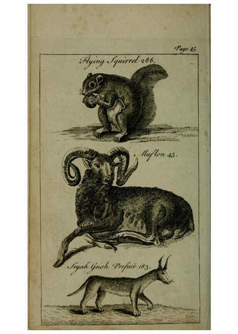 Reproducción/Reproduction 6243362103: A new and accurate system of natural history ... v.1 London,Printed for J. Newbery,1763
