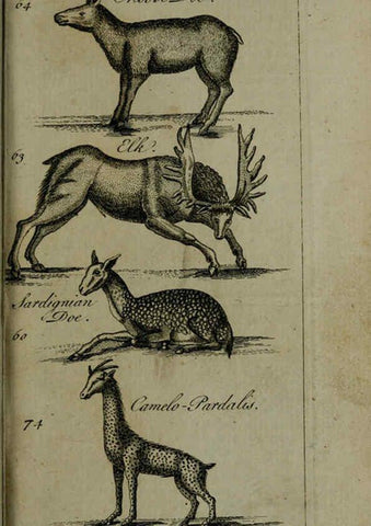Reproducción/Reproduction 6243362525: A new and accurate system of natural history ... v.1 London,Printed for J. Newbery,1763