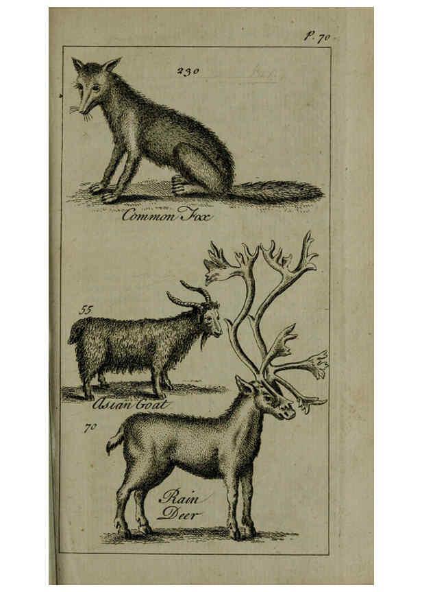 Reproducción/Reproduction 6243362727: A new and accurate system of natural history ... v.1 London,Printed for J. Newbery,1763