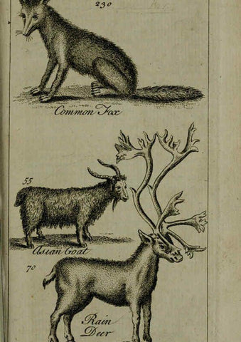 Reproducción/Reproduction 6243362727: A new and accurate system of natural history ... v.1 London,Printed for J. Newbery,1763