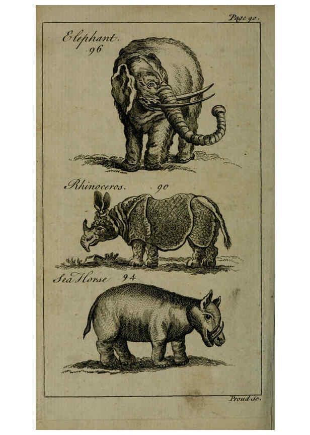 Reproducción/Reproduction 6243363255: A new and accurate system of natural history ... v.1 London,Printed for J. Newbery,1763