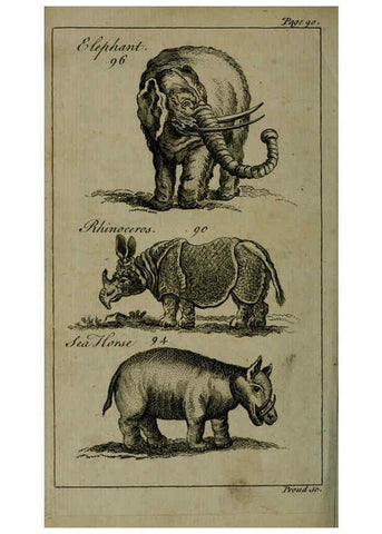 Reproducción/Reproduction 6243363255: A new and accurate system of natural history ... v.1 London,Printed for J. Newbery,1763
