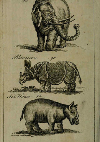 Reproducción/Reproduction 6243363255: A new and accurate system of natural history ... v.1 London,Printed for J. Newbery,1763