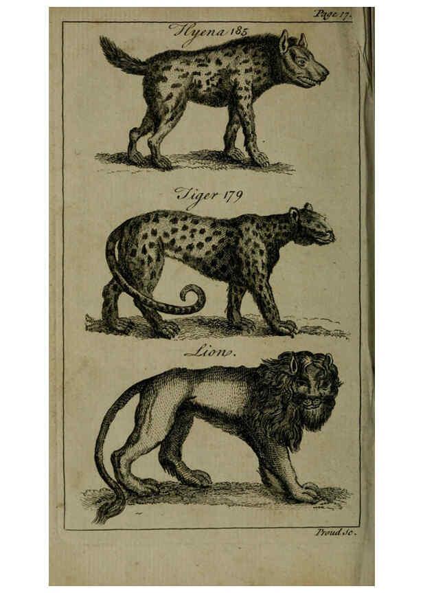 Reproducción/Reproduction 6243364599: A new and accurate system of natural history ... v.1 London,Printed for J. Newbery,1763