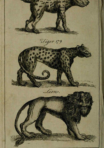 Reproducción/Reproduction 6243364599: A new and accurate system of natural history ... v.1 London,Printed for J. Newbery,1763