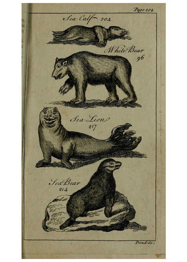 Reproducción/Reproduction 6243883224: A new and accurate system of natural history ... v.1 London,Printed for J. Newbery,1763