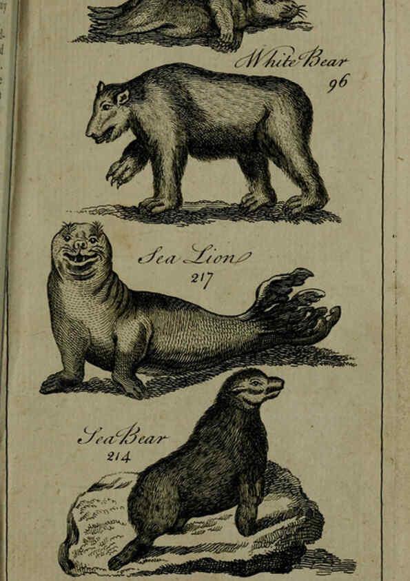 Reproducción/Reproduction 6243883224: A new and accurate system of natural history ... v.1 London,Printed for J. Newbery,1763