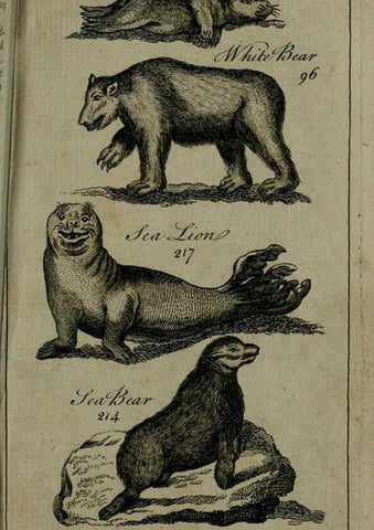 Reproducción/Reproduction 6243883224: A new and accurate system of natural history ... v.1 London,Printed for J. Newbery,1763