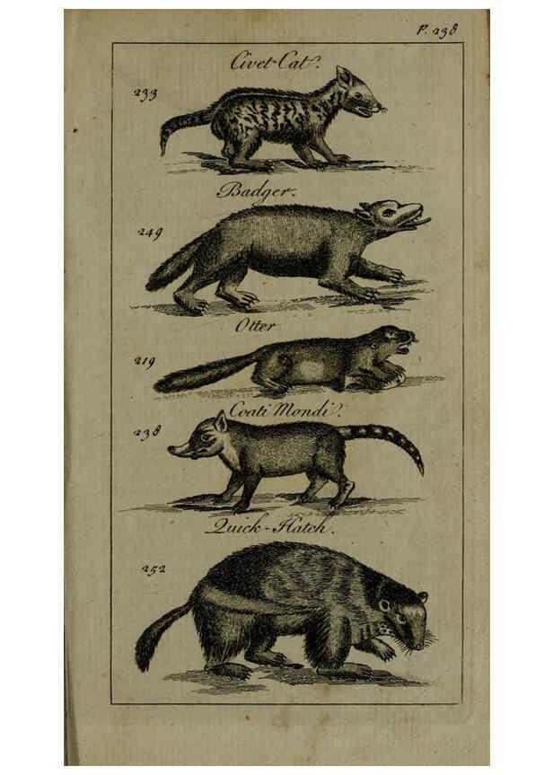 Reproducción/Reproduction 6243883788: A new and accurate system of natural history ... v.1 London,Printed for J. Newbery,1763