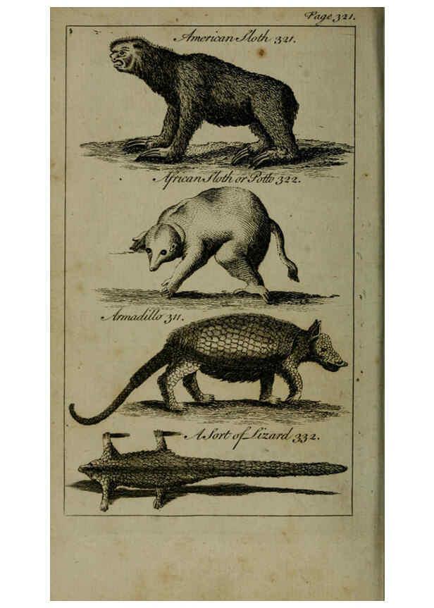Reproducción/Reproduction 6243884230: A new and accurate system of natural history ... v.1 London,Printed for J. Newbery,1763