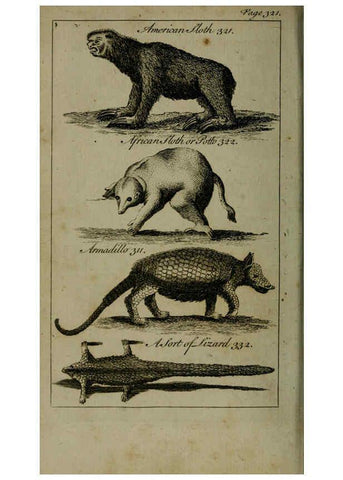 Reproducción/Reproduction 6243884230: A new and accurate system of natural history ... v.1 London,Printed for J. Newbery,1763