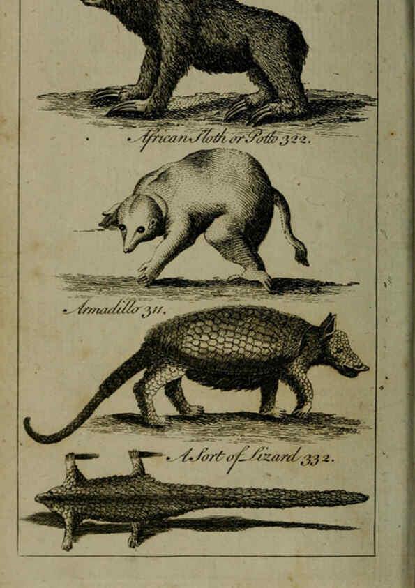 Reproducción/Reproduction 6243884230: A new and accurate system of natural history ... v.1 London,Printed for J. Newbery,1763
