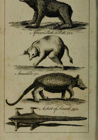 Reproducción/Reproduction 6243884230: A new and accurate system of natural history ... v.1 London,Printed for J. Newbery,1763