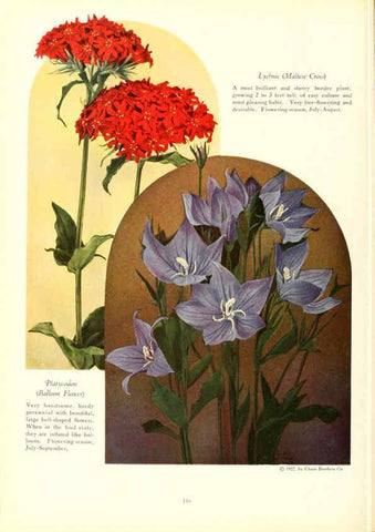 Reproducción/Reproduction 6237575060: Chase fruit and flowers in natural colors Rochester, N.Y.,Chase brothers company[c1922] 