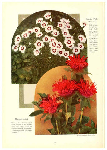 Reproducción/Reproduction 6237575346: Chase fruit and flowers in natural colors Rochester, N.Y.,Chase brothers company[c1922] 