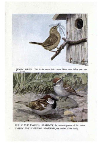 Reproducción/Reproduction 6243811016: The Burgess bird book for children Boston :Little, Brown, and company,1919