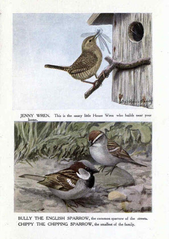 Reproducción/Reproduction 6243811016: The Burgess bird book for children Boston :Little, Brown, and company,1919