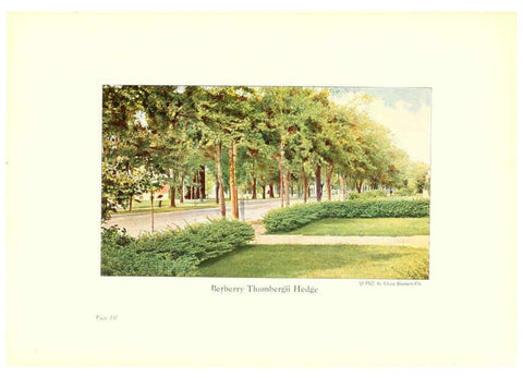 Reproducción/Reproduction 6237578794: Chase fruit and flowers in natural colors Rochester, N.Y.,Chase brothers company[c1922] 