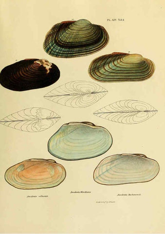 Reproducción/Reproduction 6243968588: Transactions of the American Philosophical Society. v.6. Philadelphia :The Society, 1839
