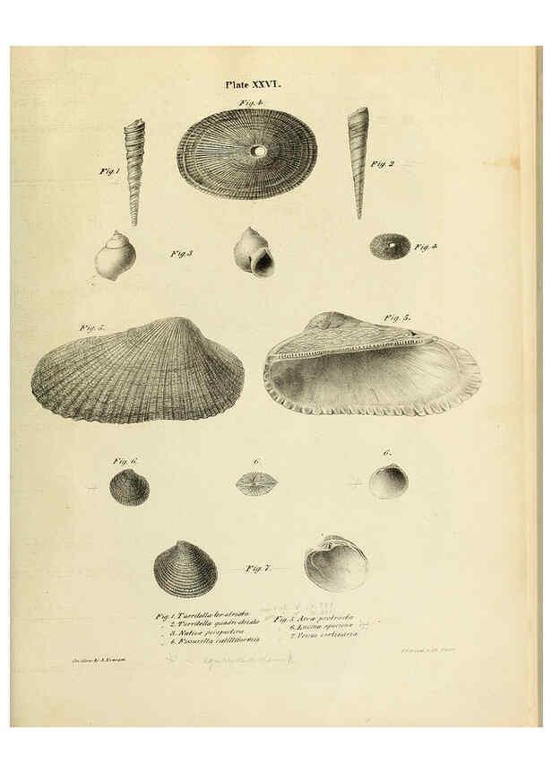 Reproducción/Reproduction 6243970892: Transactions of the American Philosophical Society. v.6. Philadelphia :The Society, 1839