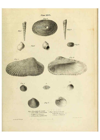 Reproducción/Reproduction 6243970892: Transactions of the American Philosophical Society. v.6. Philadelphia :The Society, 1839