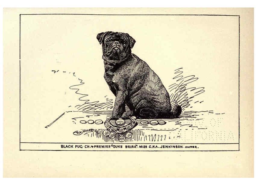 Reproducción/Reproduction 6233746733: All about dogs; a book for doggy people New York,J. Lane,1900
