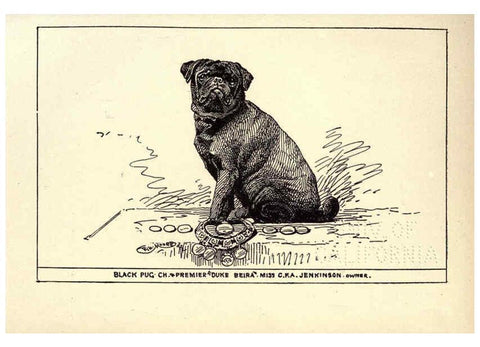 Reproducción/Reproduction 6233746733: All about dogs; a book for doggy people New York,J. Lane,1900