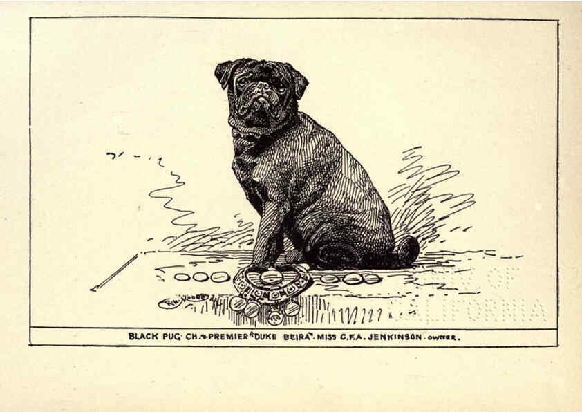 Reproducción/Reproduction 6233746733: All about dogs; a book for doggy people New York,J. Lane,1900