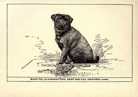 Reproducción/Reproduction 6233746733: All about dogs; a book for doggy people New York,J. Lane,1900