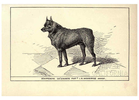 Reproducción/Reproduction 6233746849: All about dogs; a book for doggy people New York,J. Lane,1900